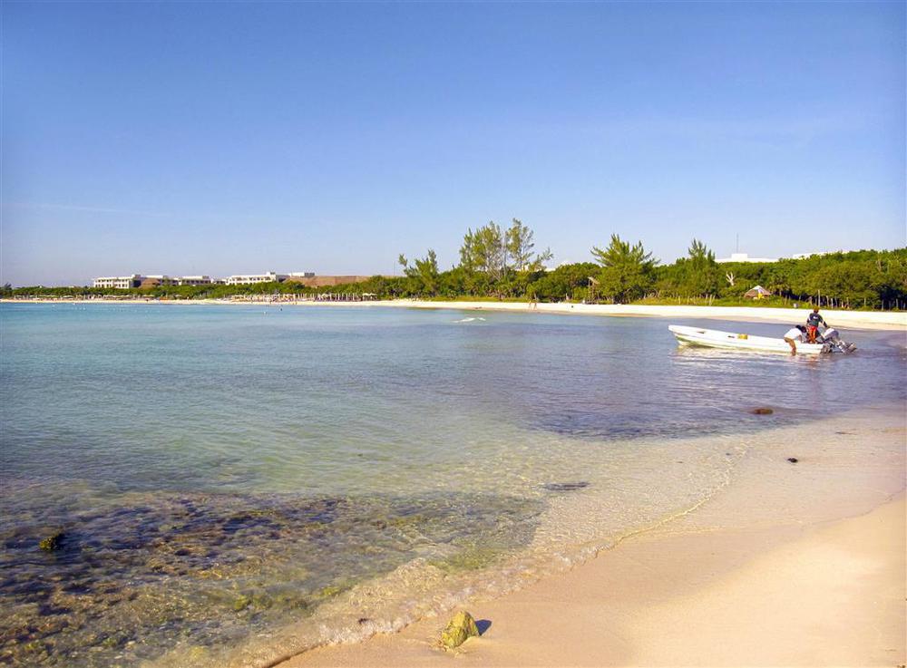 Royal Service At Paradisus La Perla (Adults Only) 普拉亚卡门 自然 照片