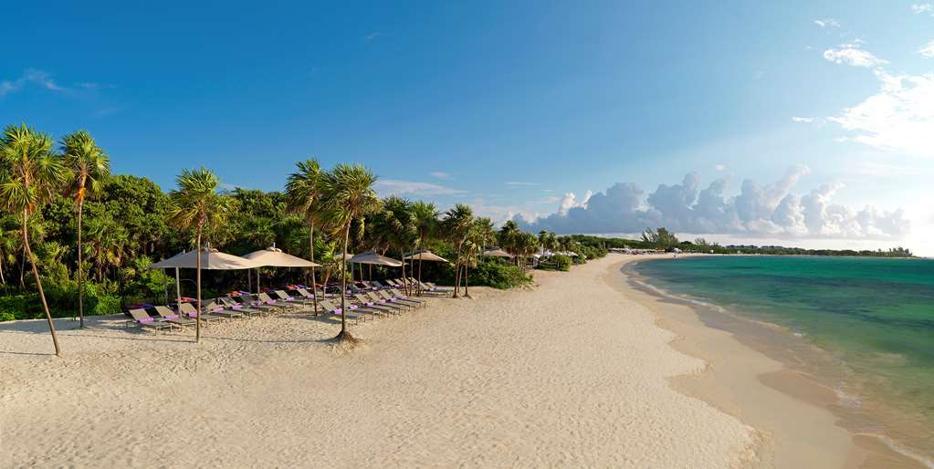 Royal Service At Paradisus La Perla (Adults Only) 普拉亚卡门 自然 照片